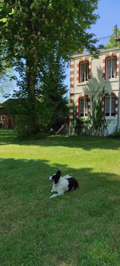 Les Chambres D'Hotes Du Domaine De Lugazaut Vielle-Soubiran Eksteriør billede